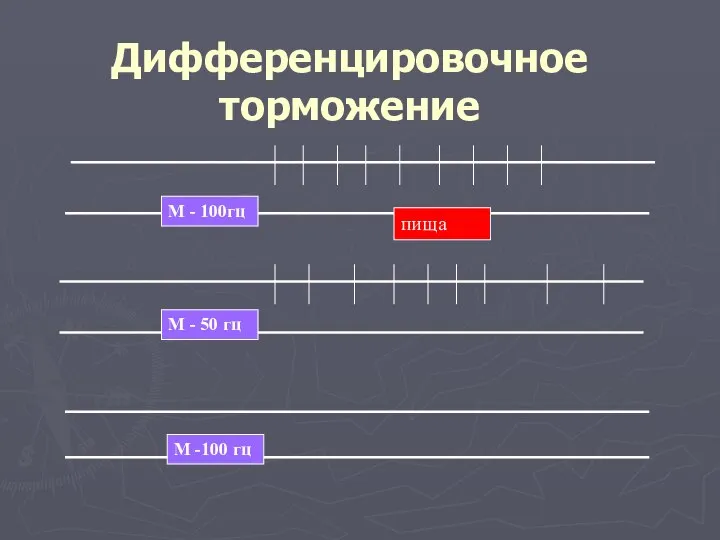 Дифференцировочное торможение