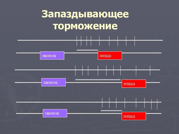 Запаздывающее торможение звонок пища пища пища звонок звонок