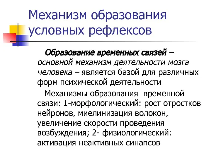 Механизм образования условных рефлексов Образование временных связей – основной механизм деятельности