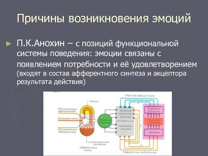 Причины возникновения эмоций П.К.Анохин – с позиций функциональной системы поведения: эмоции