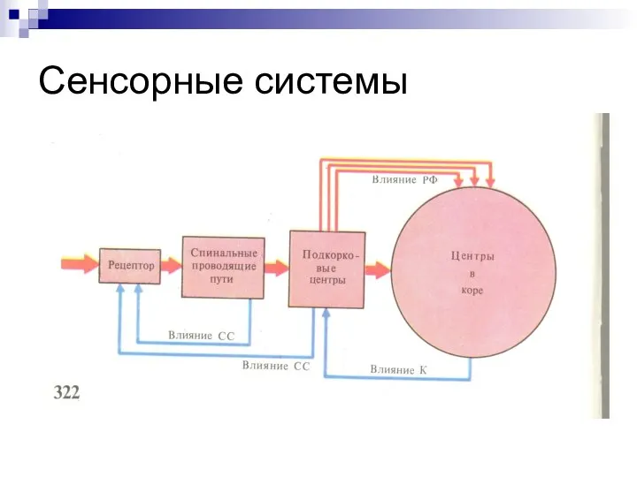 Сенсорные системы