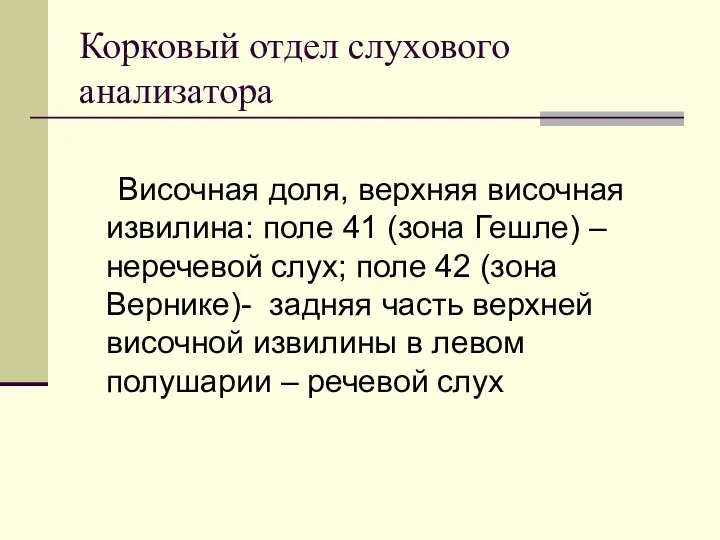 Корковый отдел слухового анализатора Височная доля, верхняя височная извилина: поле 41