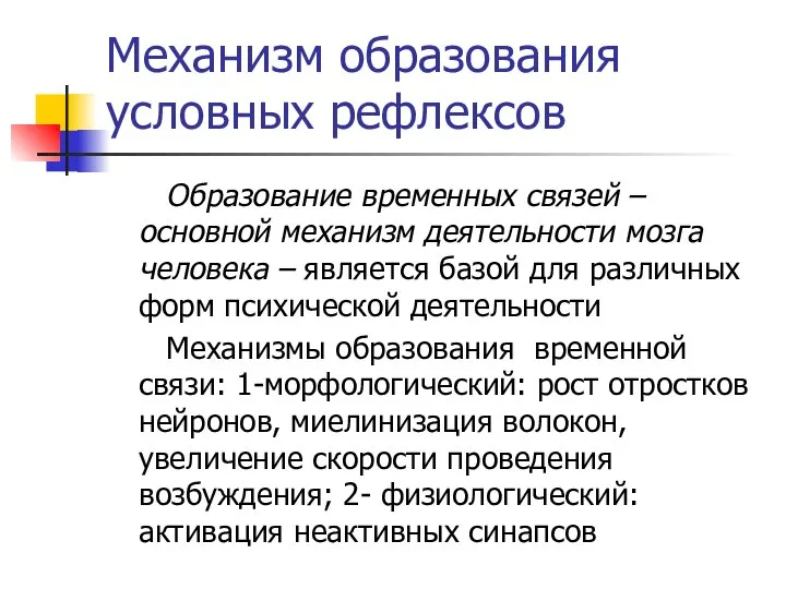 Механизм образования условных рефлексов Образование временных связей – основной механизм деятельности