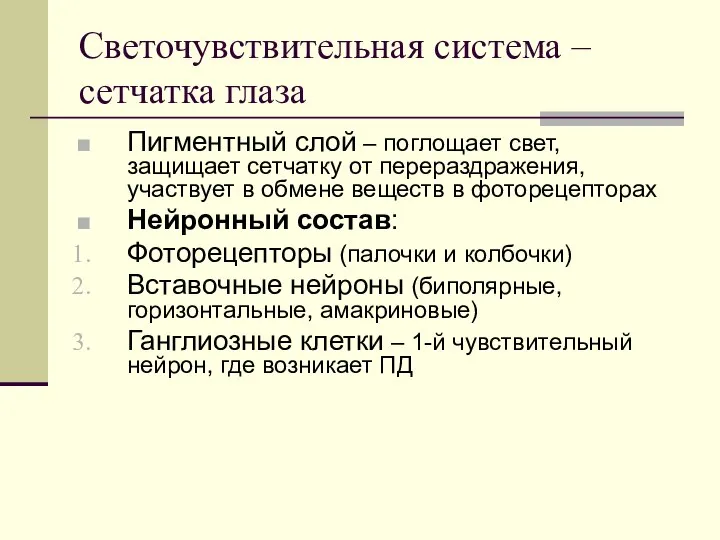 Светочувствительная система – сетчатка глаза Пигментный слой – поглощает свет, защищает