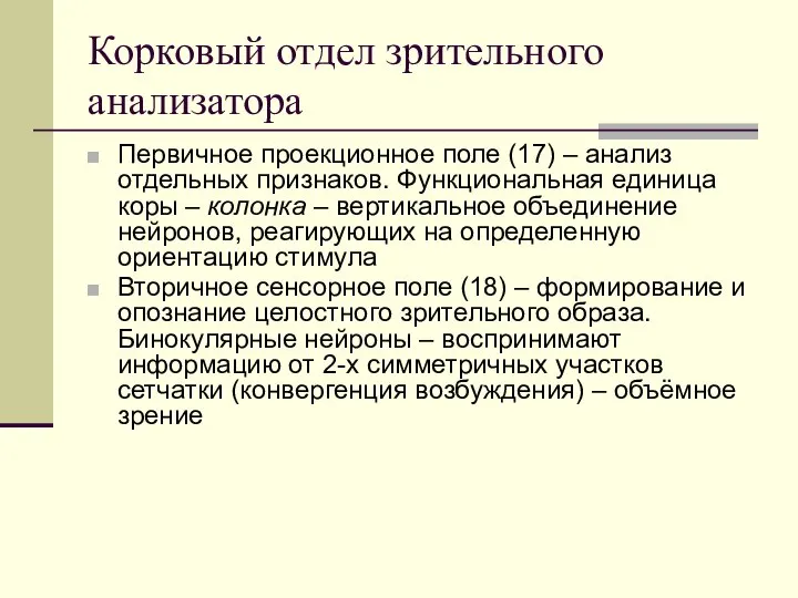 Корковый отдел зрительного анализатора Первичное проекционное поле (17) – анализ отдельных