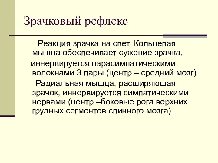 Зрачковый рефлекс Реакция зрачка на свет. Кольцевая мышца обеспечивает сужение зрачка,