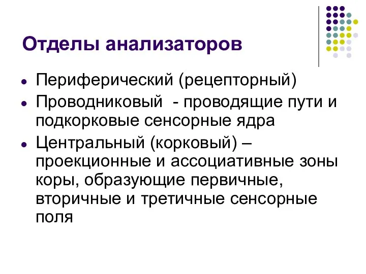 Отделы анализаторов Периферический (рецепторный) Проводниковый - проводящие пути и подкорковые сенсорные