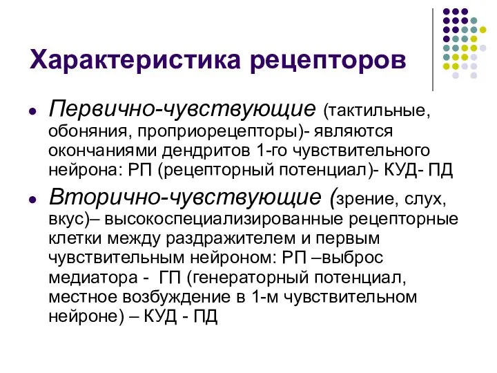 Характеристика рецепторов Первично-чувствующие (тактильные, обоняния, проприорецепторы)- являются окончаниями дендритов 1-го чувствительного