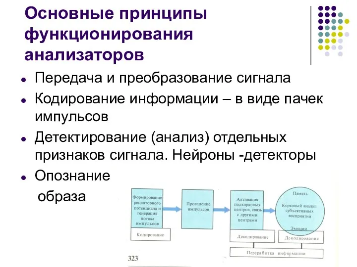 Основные принципы функционирования анализаторов Передача и преобразование сигнала Кодирование информации –