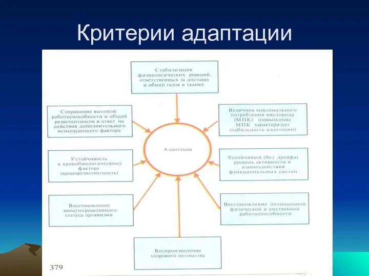 Критерии адаптации