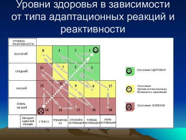 Уровни здоровья в зависимости от типа адаптационных реакций и реактивности