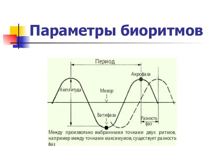 Параметры биоритмов