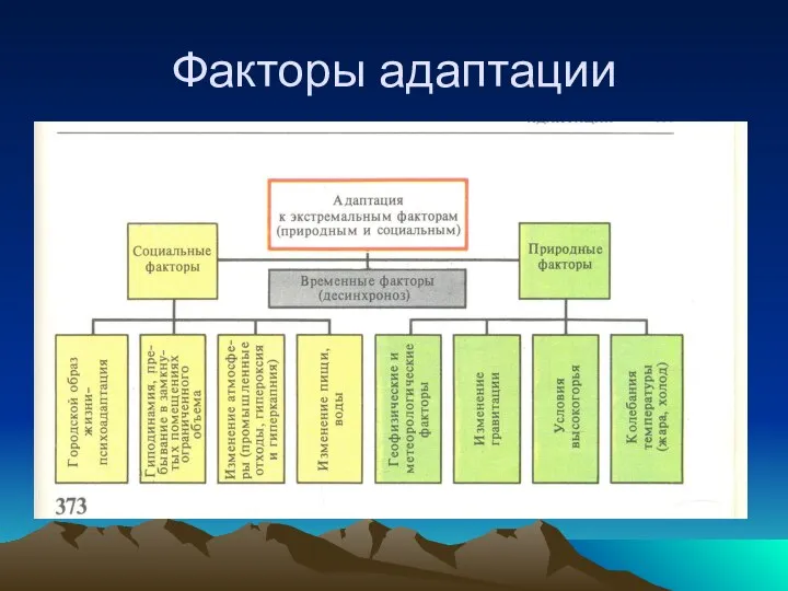 Факторы адаптации