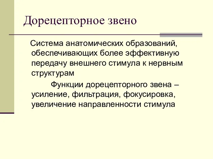 Дорецепторное звено Система анатомических образований, обеспечивающих более эффективную передачу внешнего стимула