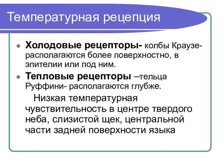 Температурная рецепция Холодовые рецепторы- колбы Краузе- располагаются более поверхностно, в эпителии