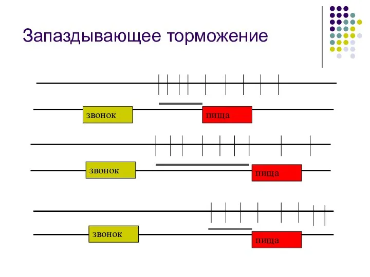 Запаздывающее торможение звонок пища пища пища звонок звонок