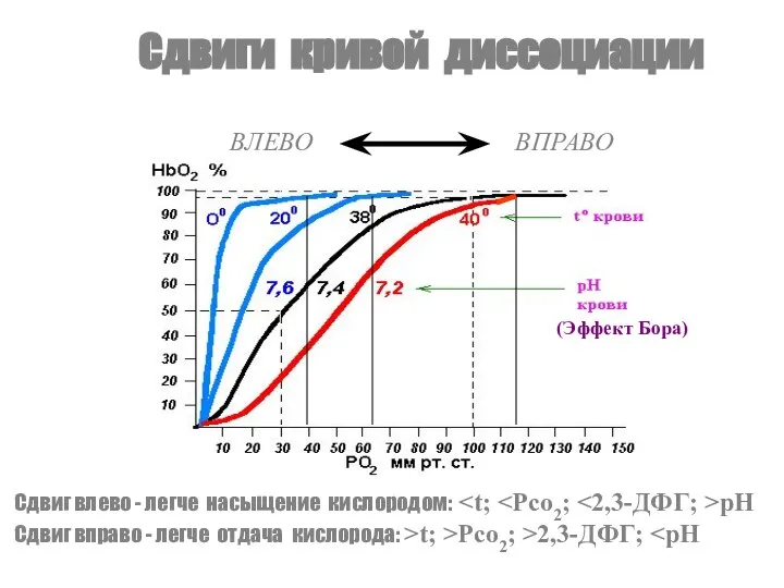 Сдвиги кривой диссоциации ВЛЕВО ВПРАВО Сдвиг влево - легче насыщение кислородом: