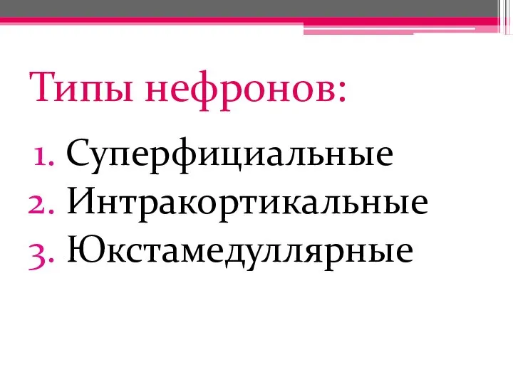 Типы нефронов: Суперфициальные Интракортикальные Юкстамедуллярные