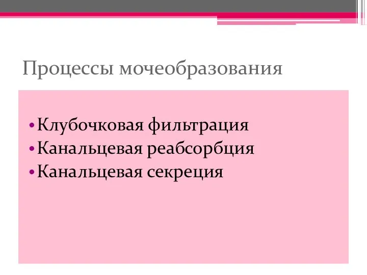 Процессы мочеобразования Клубочковая фильтрация Канальцевая реабсорбция Канальцевая секреция