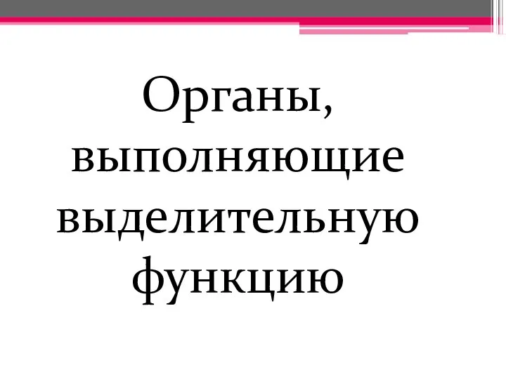 Органы, выполняющие выделительную функцию