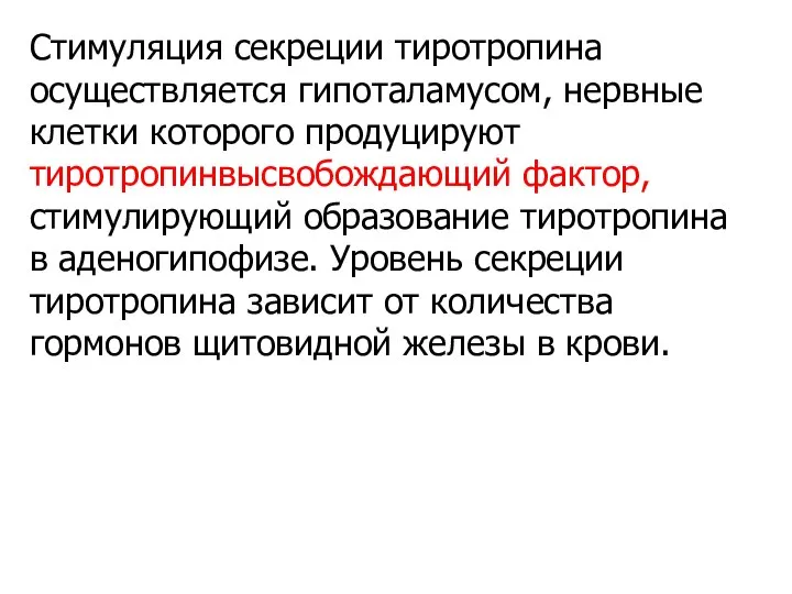 Стимуляция секреции тиротропина осуществляется гипоталамусом, нервные клетки которого продуцируют тиротропинвысвобождающий фактор,