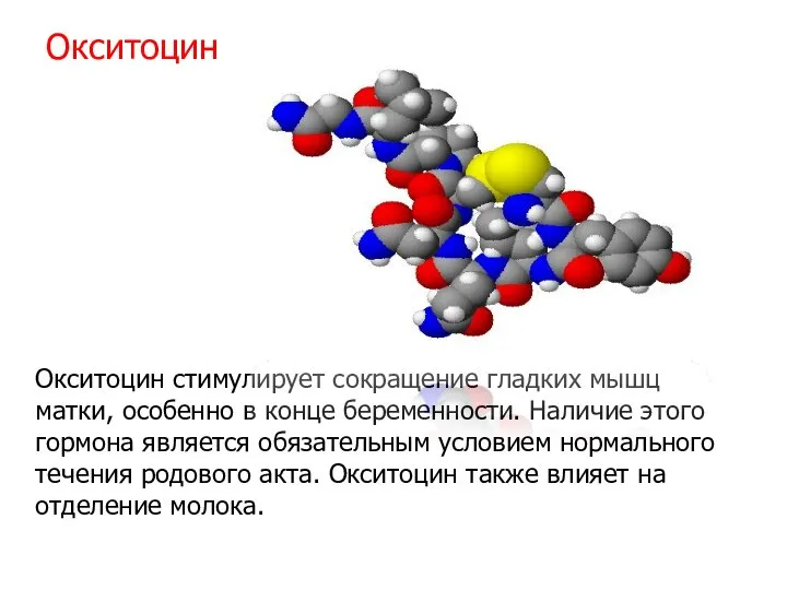 Окситоцин Окситоцин стимулирует сокращение гладких мышц матки, особенно в конце беременности.