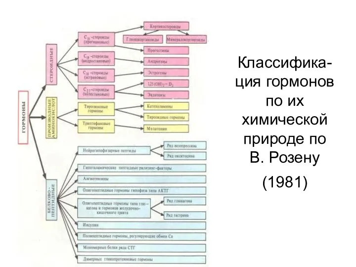 Классифика-ция гормонов по их химической природе по В. Розену (1981)