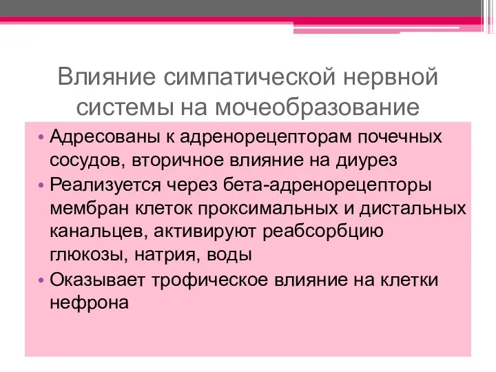 Влияние симпатической нервной системы на мочеобразование Адресованы к адренорецепторам почечных сосудов,