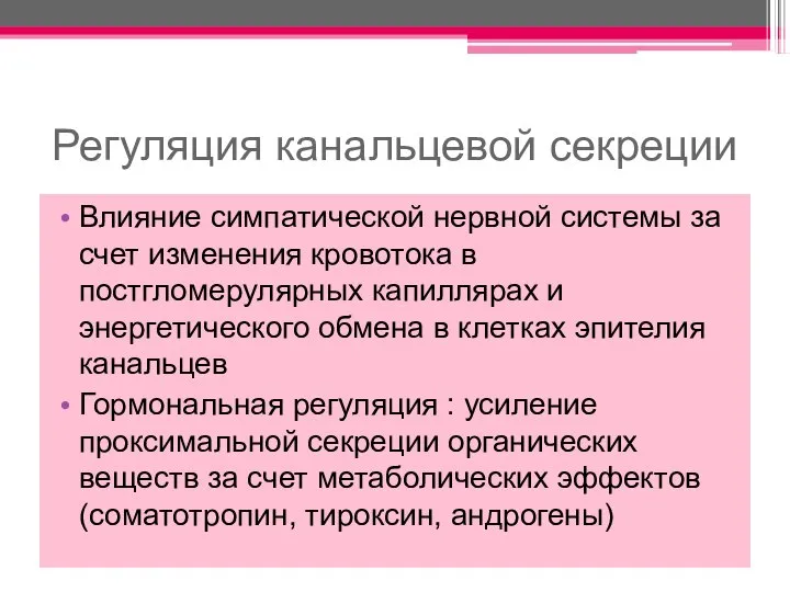 Регуляция канальцевой секреции Влияние симпатической нервной системы за счет изменения кровотока