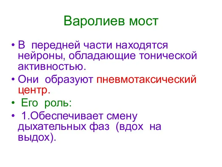 Варолиев мост В передней части находятся нейроны, обладающие тонической активностью. Они