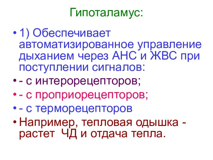 Гипоталамус: 1) Обеспечивает автоматизированное управление дыханием через АНС и ЖВС при