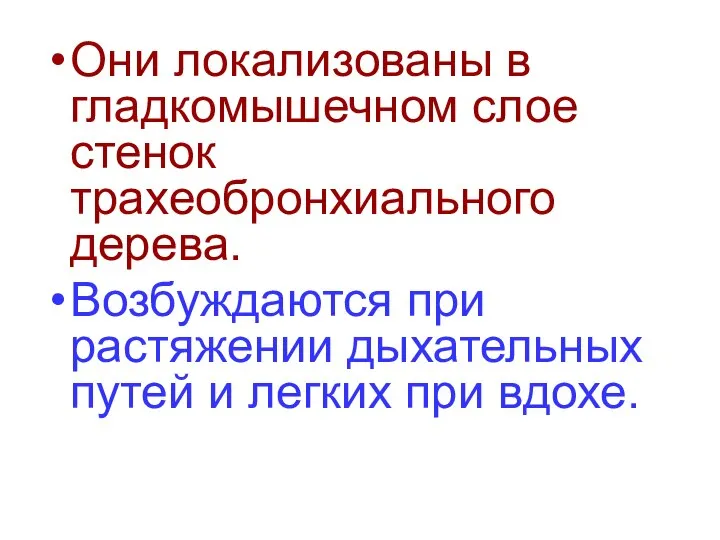 Они локализованы в гладкомышечном слое стенок трахеобронхиального дерева. Возбуждаются при растяжении