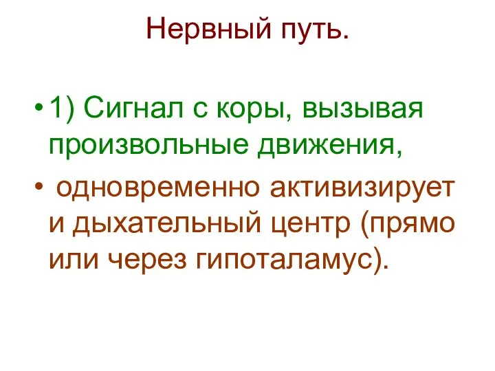 Нервный путь. 1) Сигнал с коры, вызывая произвольные движения, одновременно активизирует