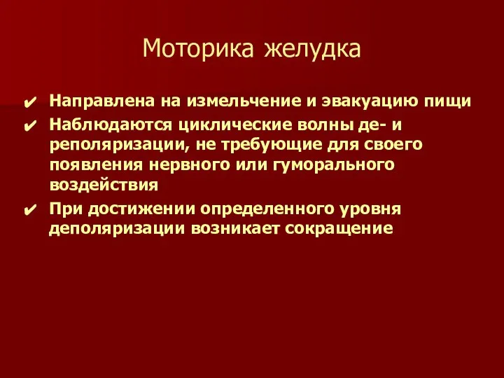 Моторика желудка Направлена на измельчение и эвакуацию пищи Наблюдаются циклические волны