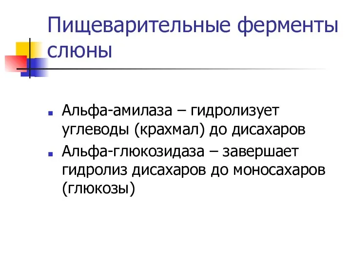 Пищеварительные ферменты слюны Альфа-амилаза – гидролизует углеводы (крахмал) до дисахаров Альфа-глюкозидаза