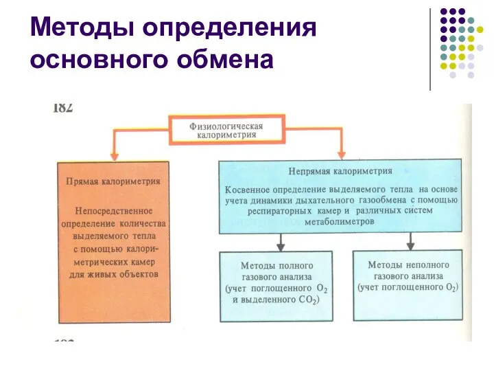 Методы определения основного обмена