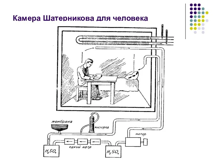 Камера Шатерникова для человека