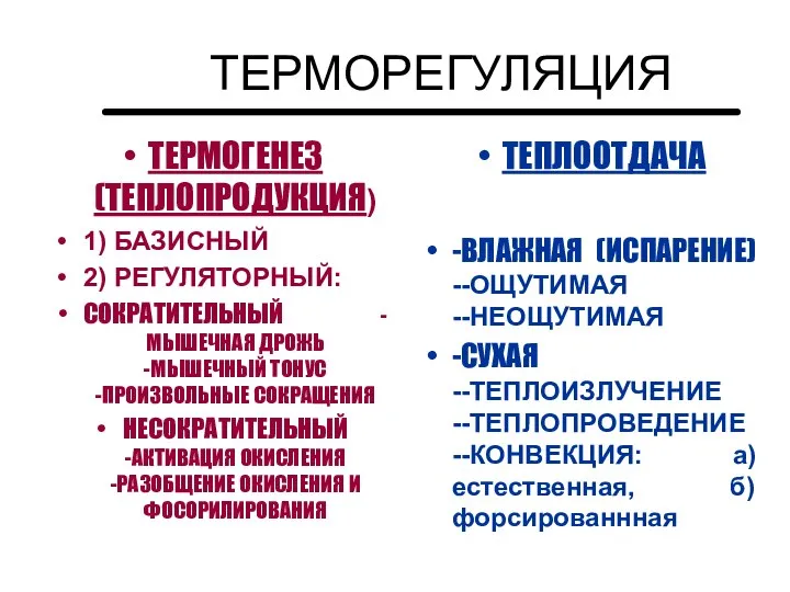 ТЕРМОГЕНЕЗ (ТЕПЛОПРОДУКЦИЯ) 1) БАЗИСНЫЙ 2) РЕГУЛЯТОРНЫЙ: СОКРАТИТЕЛЬНЫЙ -МЫШЕЧНАЯ ДРОЖЬ -МЫШЕЧНЫЙ ТОНУС