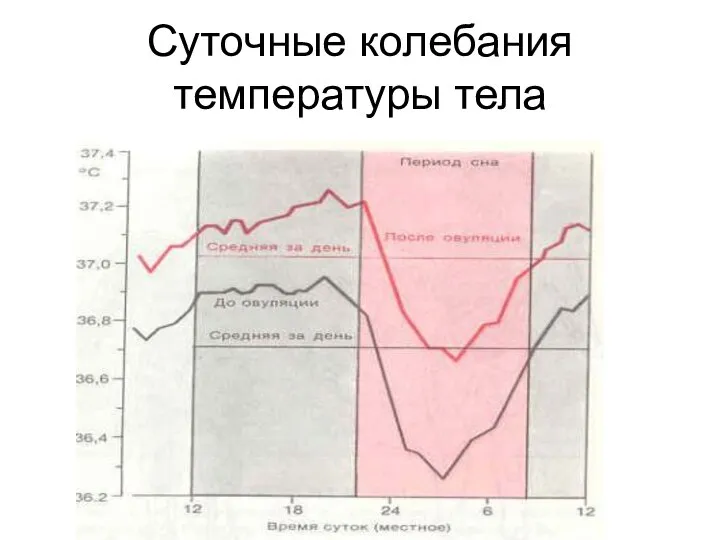 Суточные колебания температуры тела