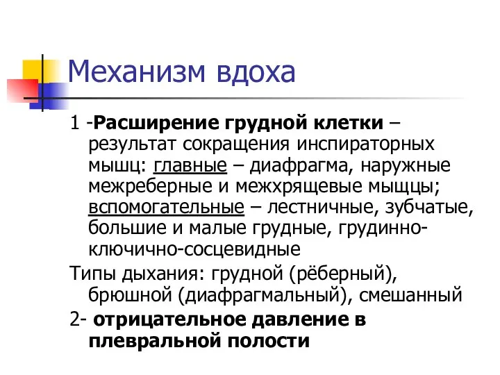 Механизм вдоха 1 -Расширение грудной клетки – результат сокращения инспираторных мышц: