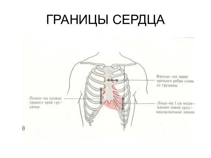 ГРАНИЦЫ СЕРДЦА