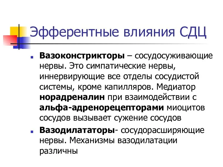 Эфферентные влияния СДЦ Вазоконстрикторы – сосудосуживающие нервы. Это симпатические нервы, иннервирующие