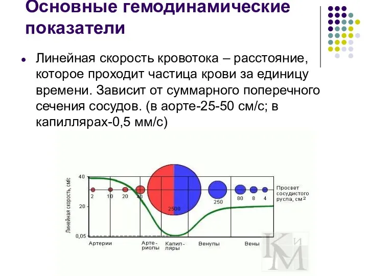 Основные гемодинамические показатели Линейная скорость кровотока – расстояние, которое проходит частица