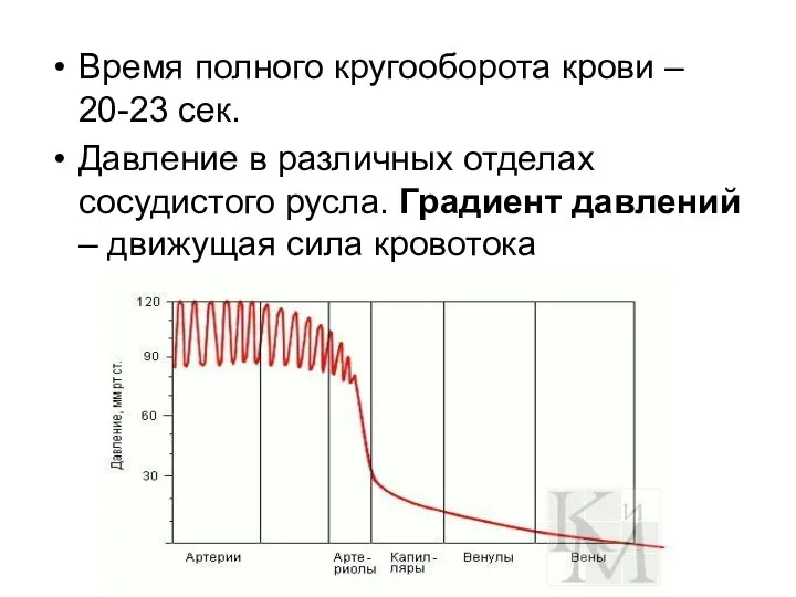 Время полного кругооборота крови – 20-23 сек. Давление в различных отделах