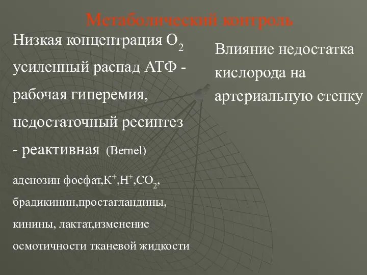 Низкая концентрация О2 усиленный распад АТФ - рабочая гиперемия, недостаточный ресинтез