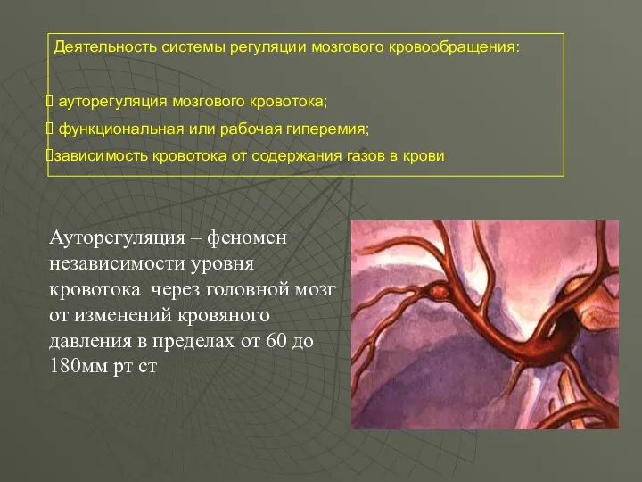 Деятельность системы регуляции мозгового кровообращения: ауторегуляция мозгового кровотока; функциональная или рабочая