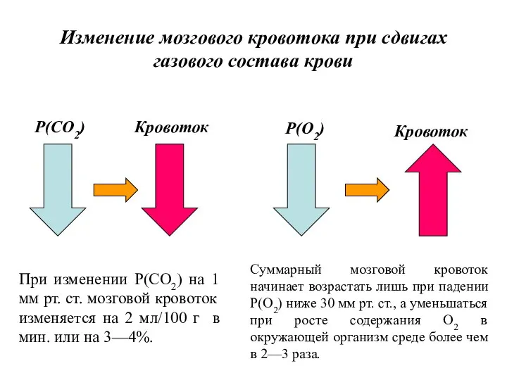 P(CO2) Кровоток P(O2) Кровоток Изменение мозгового кровотока при сдвигах газового состава