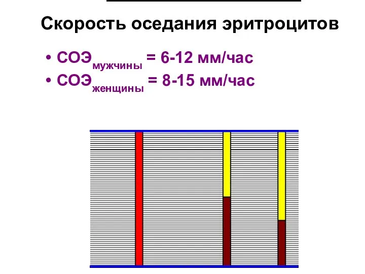 Скорость оседания эритроцитов СОЭмужчины = 6-12 мм/час СОЭженщины = 8-15 мм/час