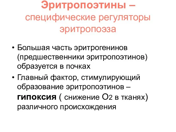 Эритропоэтины – специфические регуляторы эритропоэза Большая часть эритрогенинов (предшественники эритропоэтинов) образуется