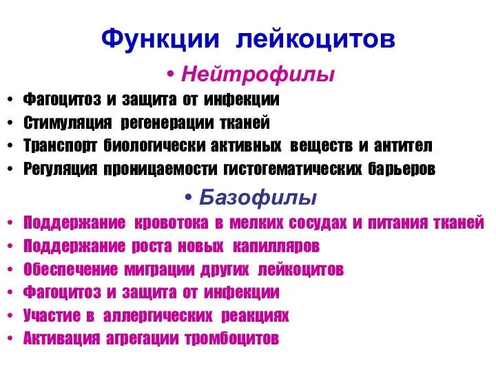 Функции лейкоцитов Нейтрофилы Фагоцитоз и защита от инфекции Стимуляция регенерации тканей